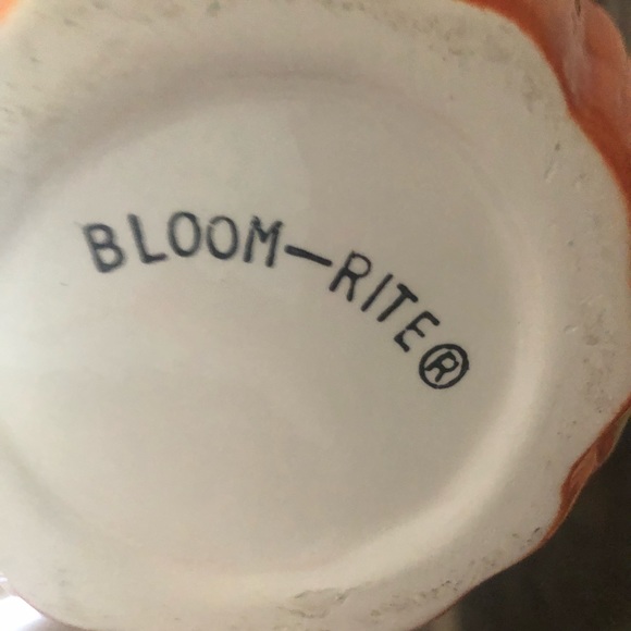 Bloom Rite R tea pot - Picture 3 of 3